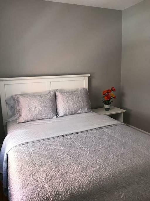 오타와 Bright, Clean, Private. In The Heart Of Downtown! Parking, Wi-Fi And Netflix Included 아파트 외부 사진